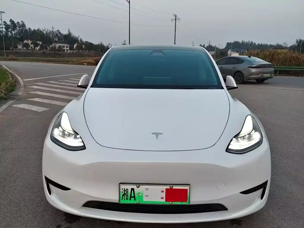 Tesla Model Y — миниатюра 2