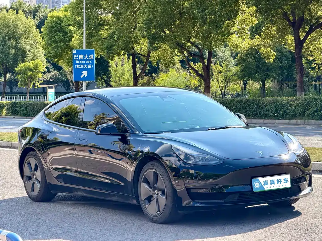 Tesla Model 3 — миниатюра 3