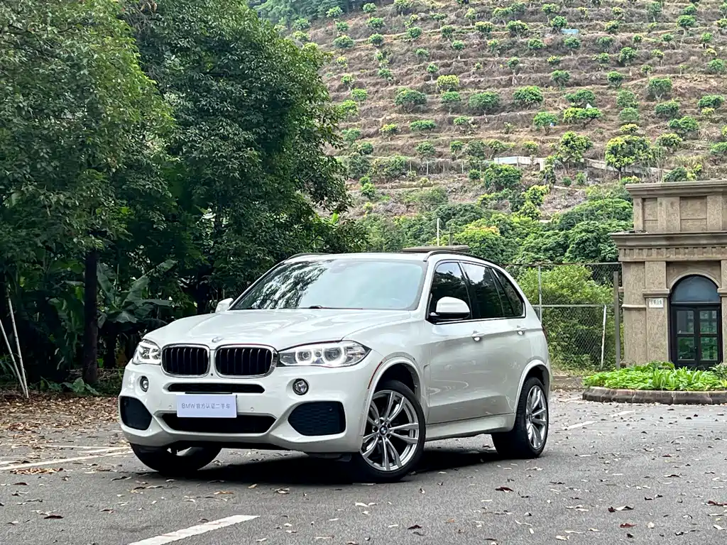 BMW X5 2018 xDrive35i M Sport Luxury