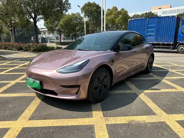 TESLA MODEL 3 2022