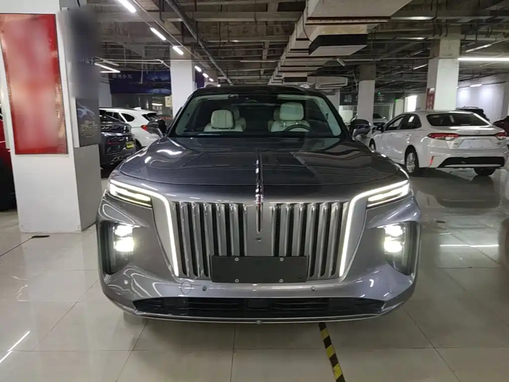 Hongqi Hongqi E-HS9 — миниатюра 3