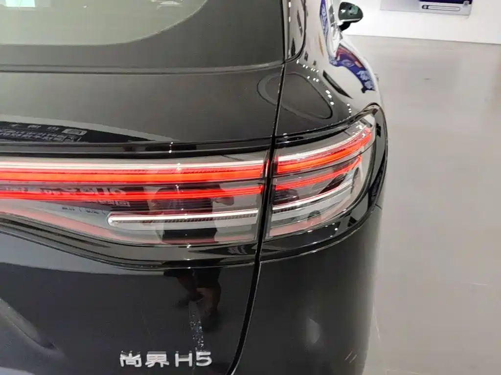 Shangjie Shangjie H5 — миниатюра 8