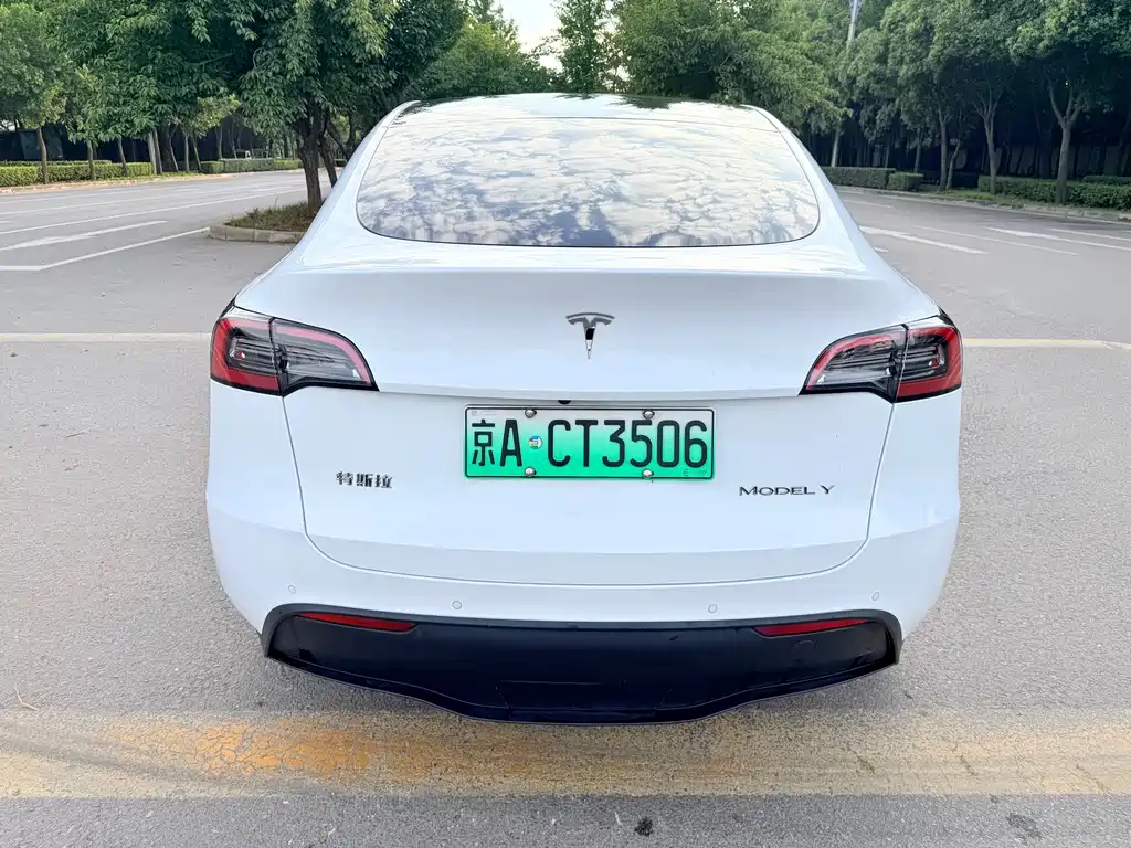 Tesla Model Y — миниатюра 7