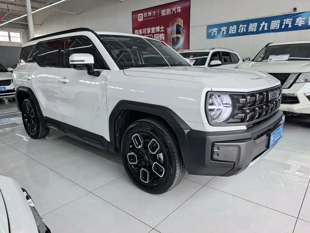 Haval Cool Dog — миниатюра 3
