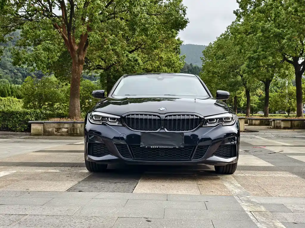 BMW 3 Series — миниатюра 2