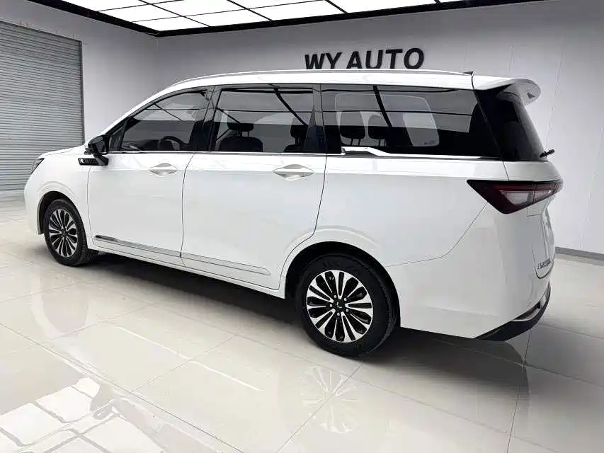 Wuling Jiachen — миниатюра 3