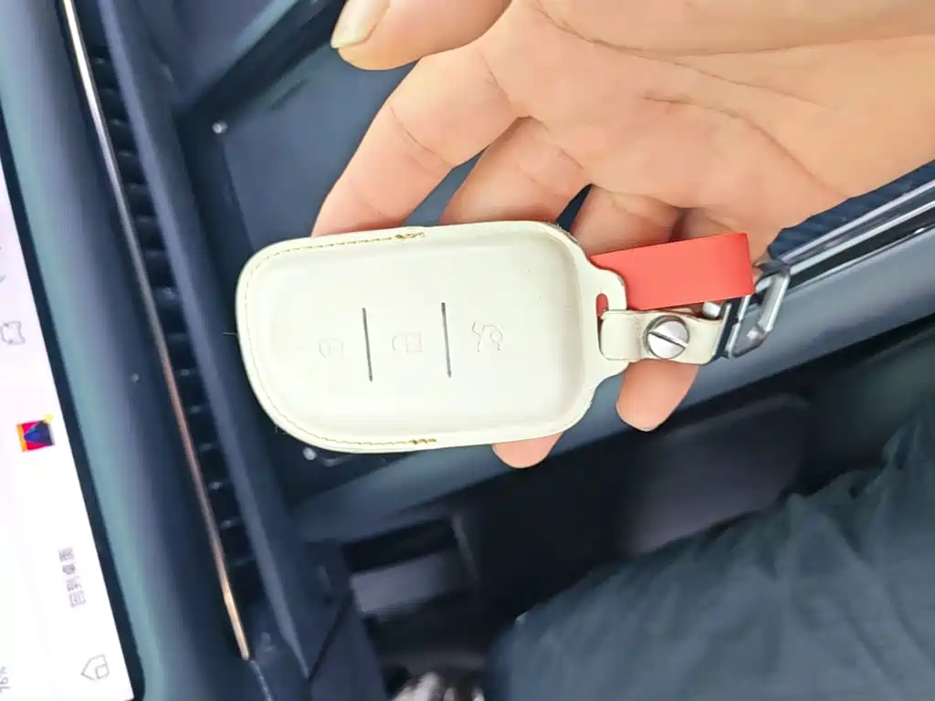 Lynk & Co Рука 900. — миниатюра 9