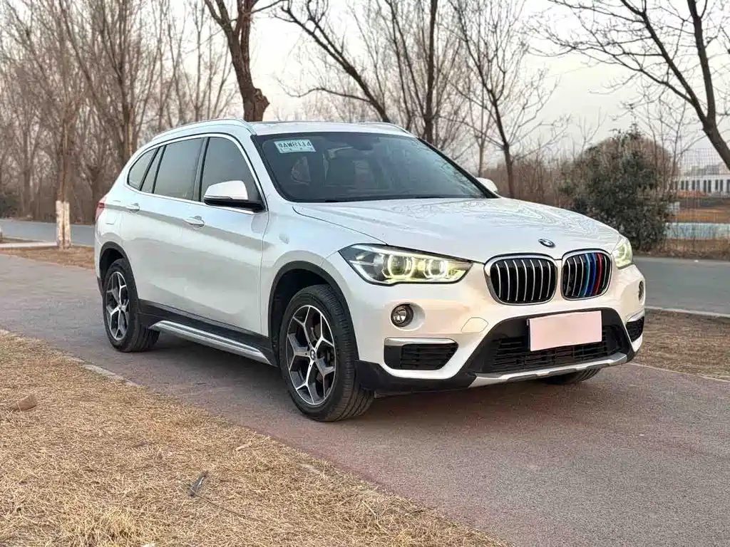 BMW X1 — миниатюра 3
