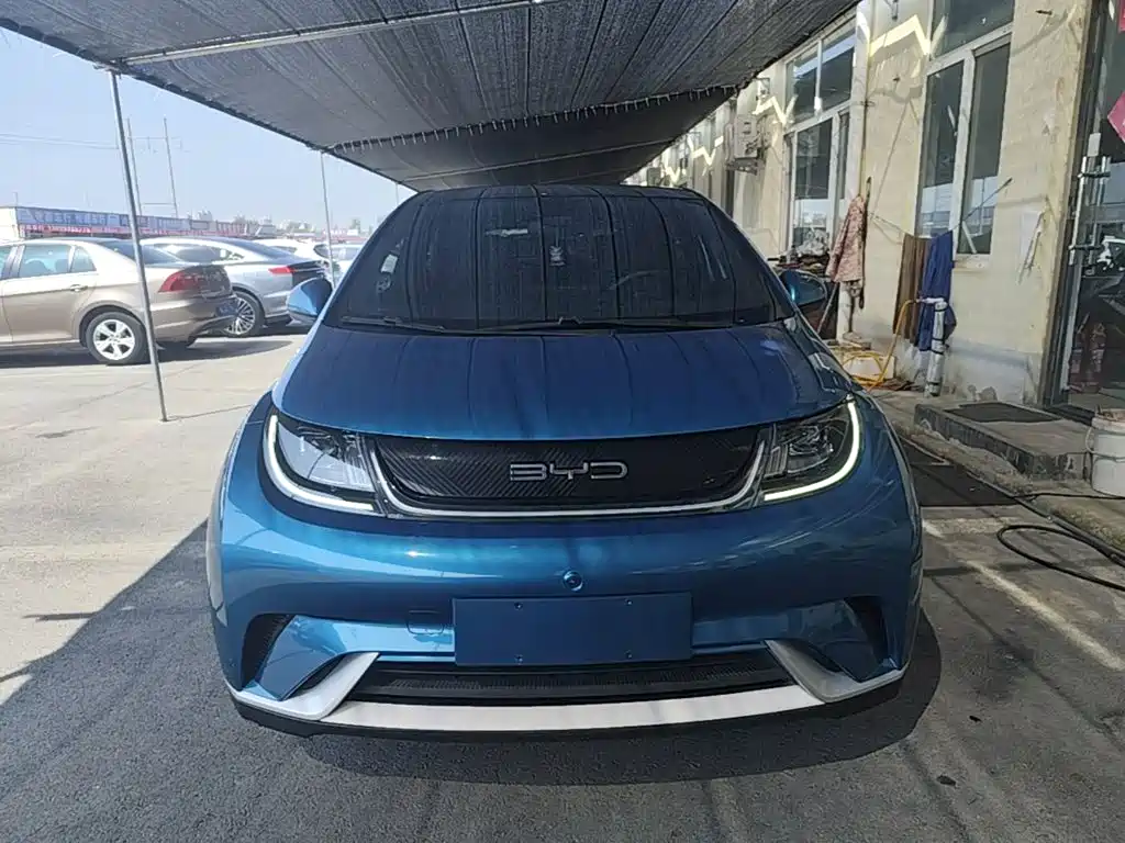 BYD Dolphin — миниатюра 3