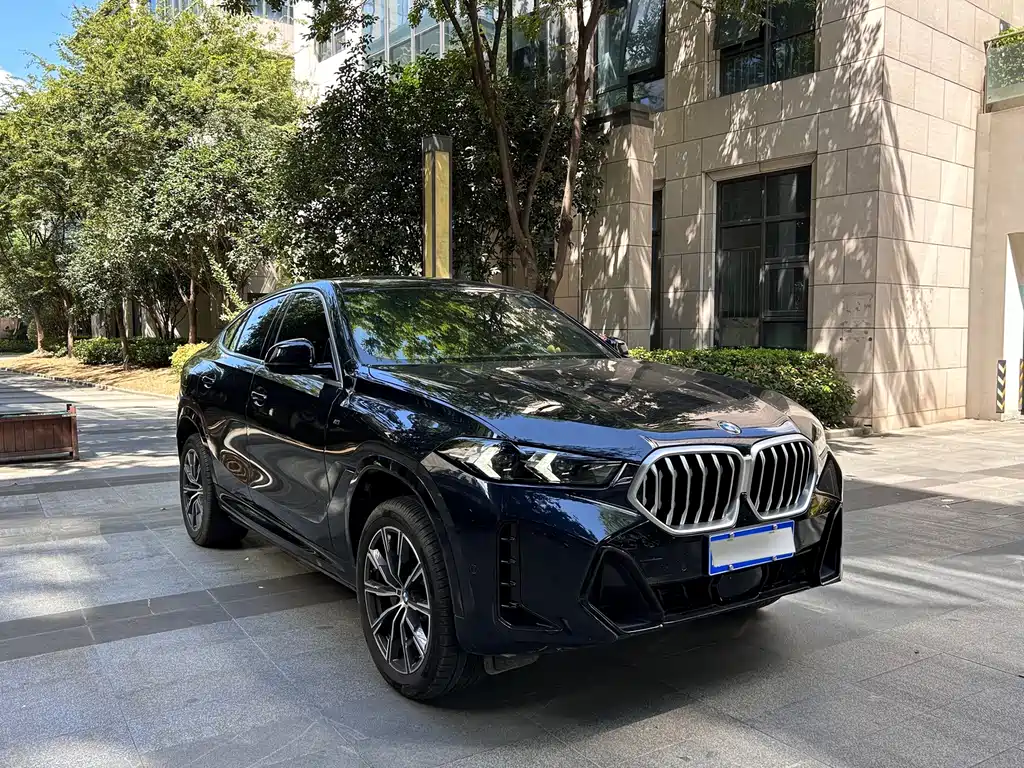 BMW X6 — миниатюра 3