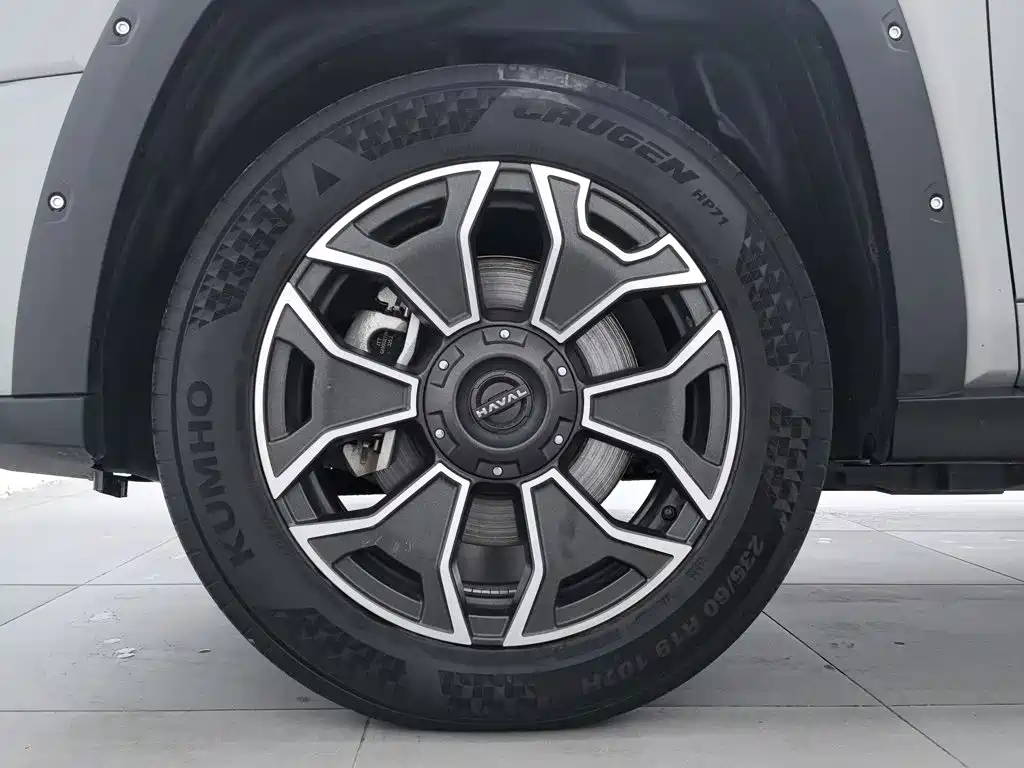 Haval Big Dog PLUS New Energy — миниатюра 17