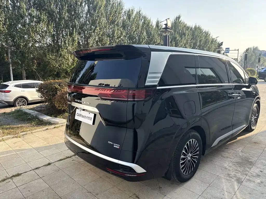 Denza Denza D9 — миниатюра 6