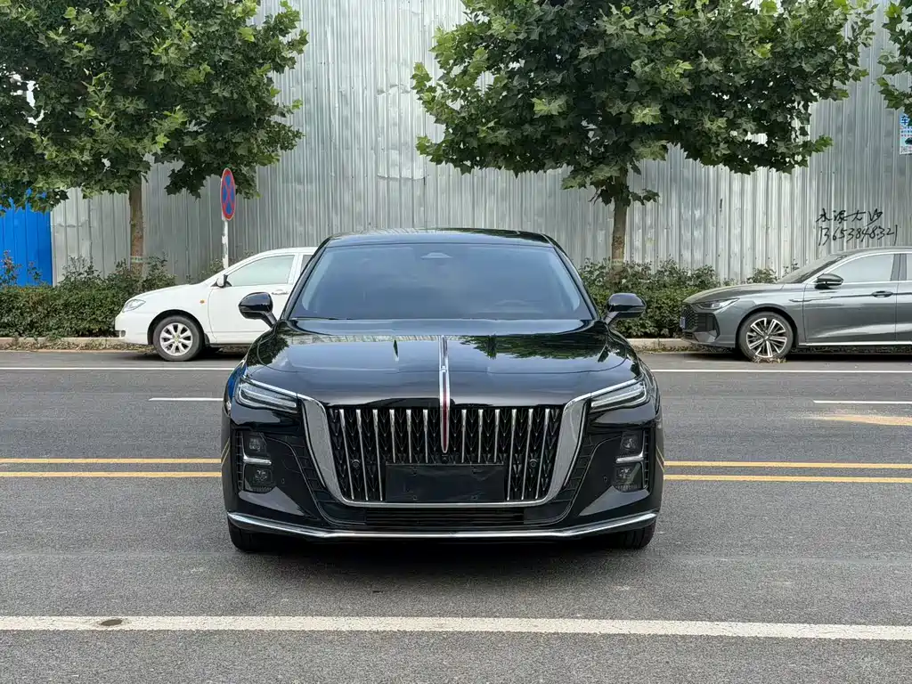 Hongqi Hongqi H5 — миниатюра 7