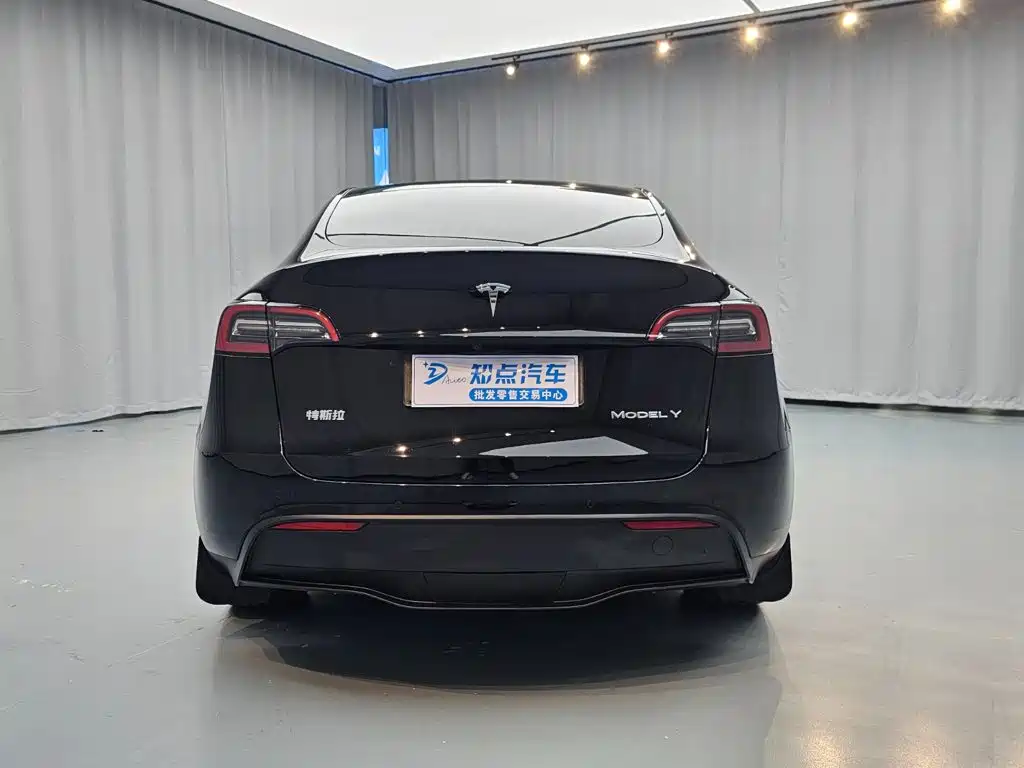 Tesla Model Y — миниатюра 6