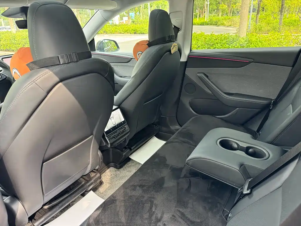 Tesla Model Y — миниатюра 6