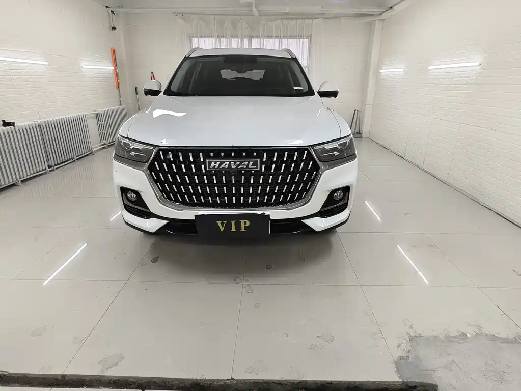 Haval H6 — миниатюра 2