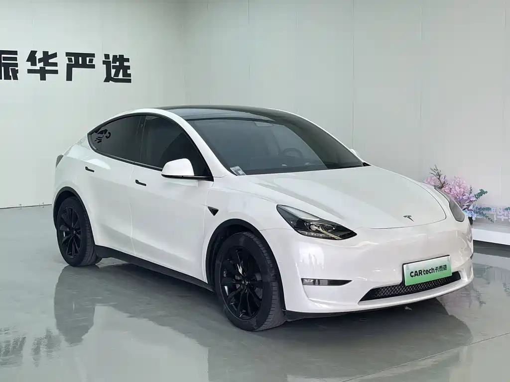 Tesla Model Y — миниатюра 3