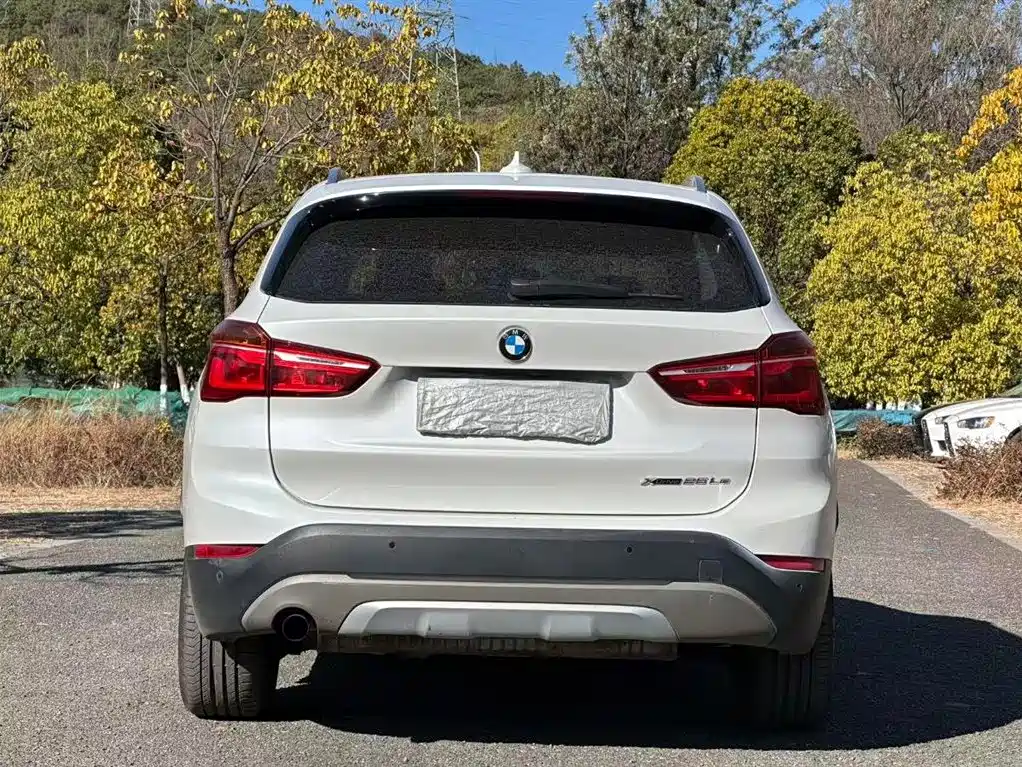 BMW X1 NEW ENERGY