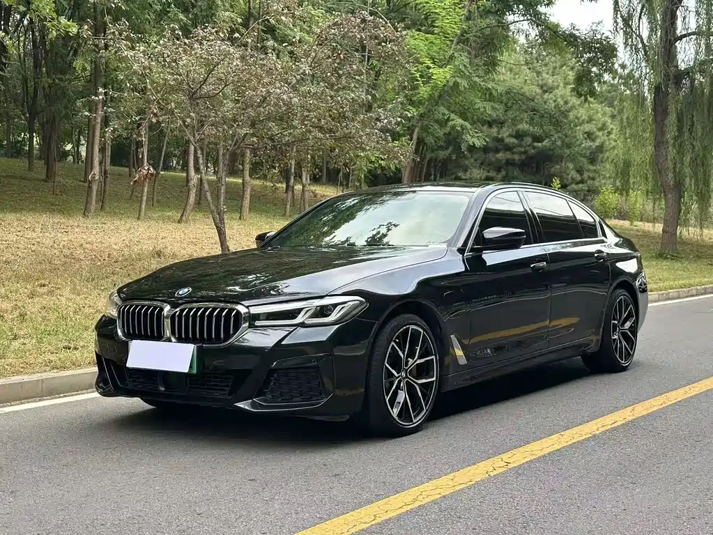 BMW 5 Series New Energy