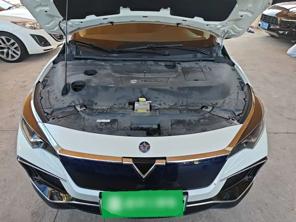 Venucia D60 EV — миниатюра 20