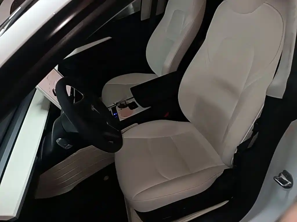 Tesla Model 3 — миниатюра 15
