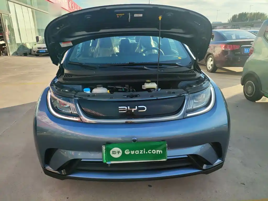 BYD Dolphin — миниатюра 20