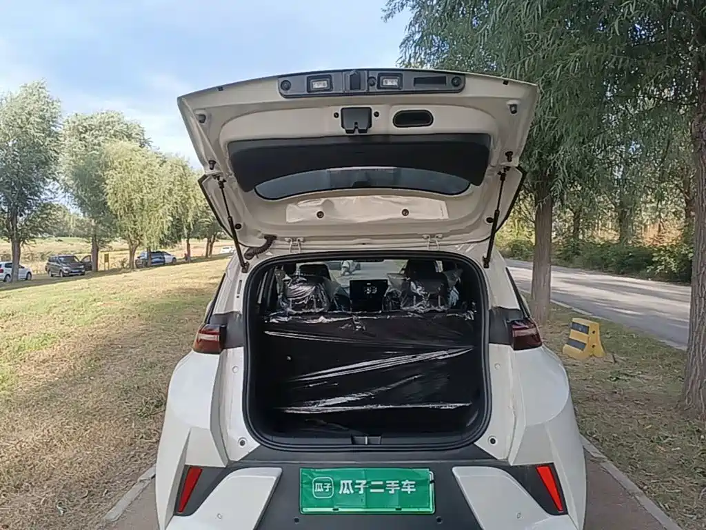 BYD Seagull — миниатюра 19