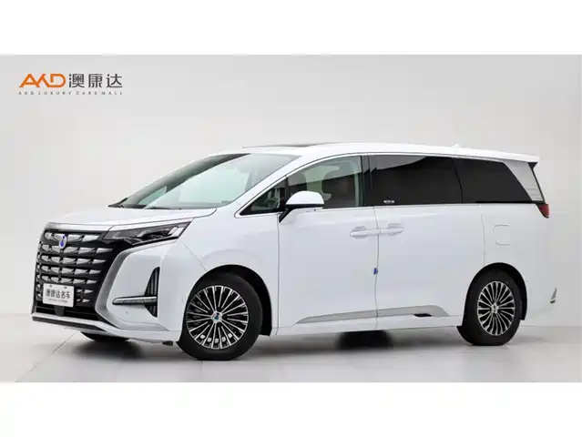 2023 Denza D9