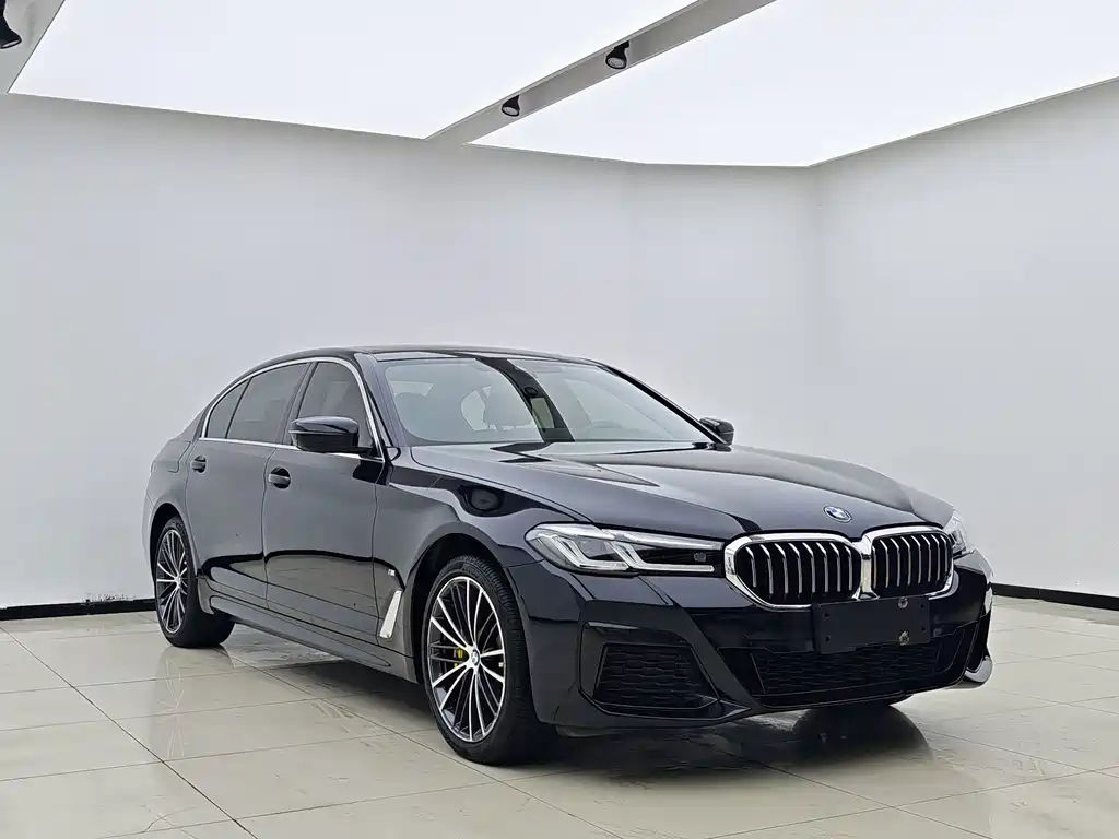 BMW 5 Series — миниатюра 3
