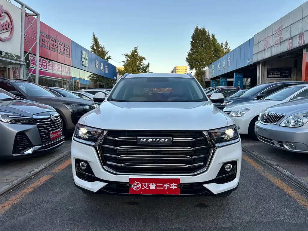 Haval H6 — миниатюра 2