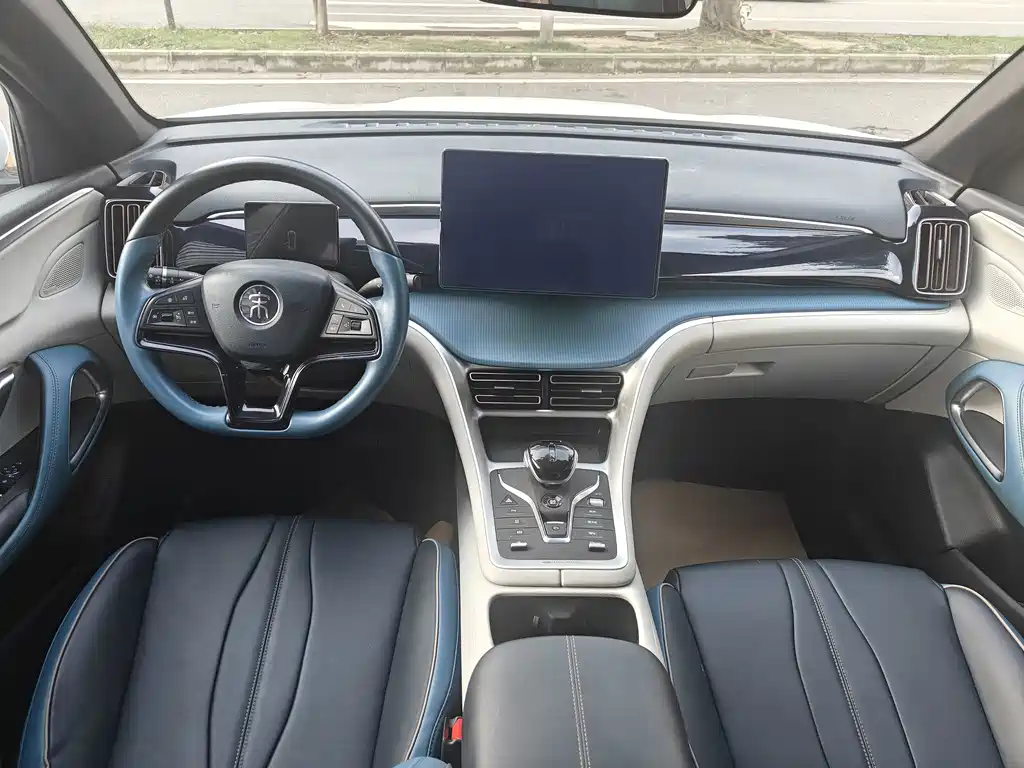 BYD Pro — миниатюра 10