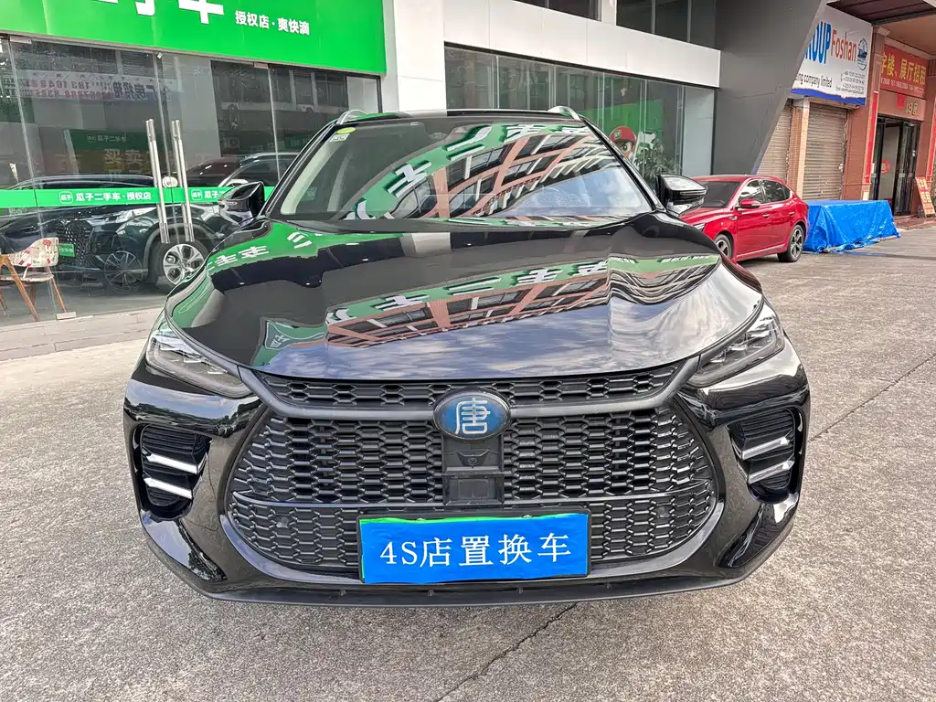 BYD Tang New Energy — миниатюра 2