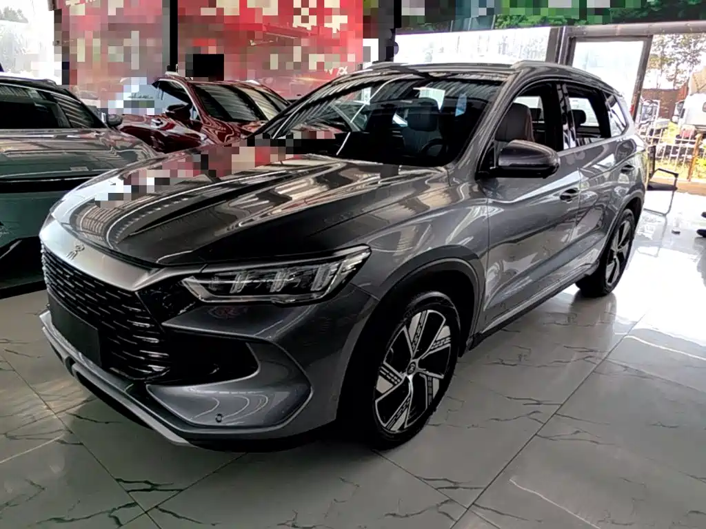 BYD Pro New Energy — миниатюра 2