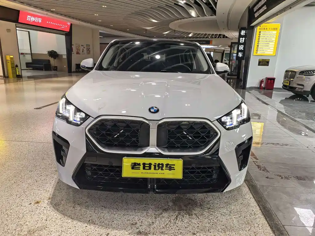BMW X2 (Import) — миниатюра 2