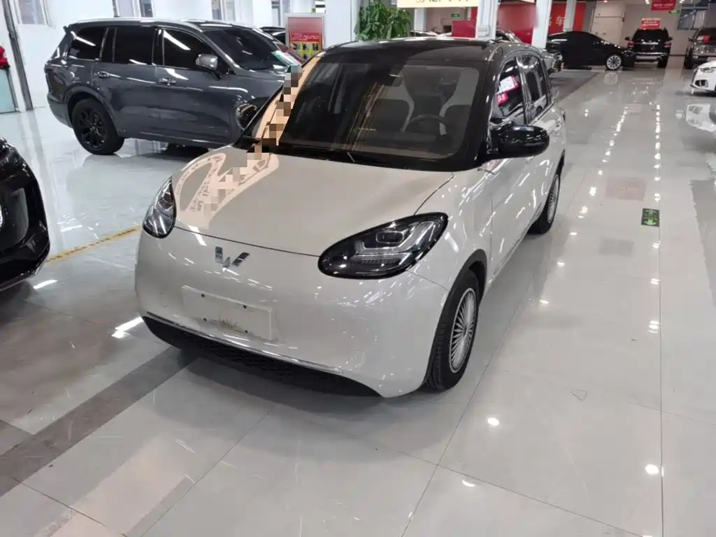 Wuling Bingo