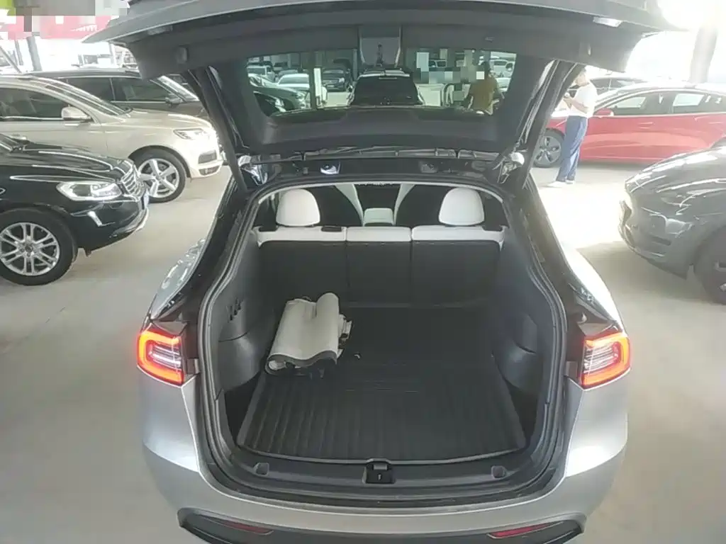 Tesla Model Y — миниатюра 19