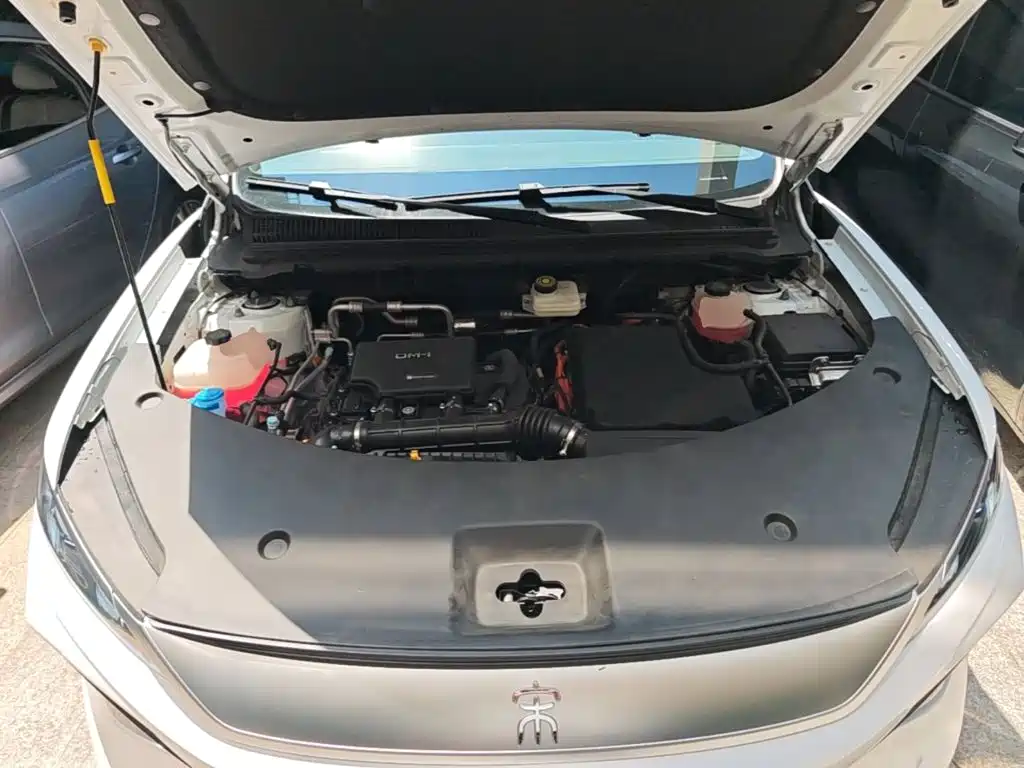 BYD Pro New Energy — миниатюра 20