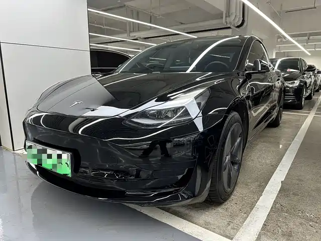 TESLA MODEL 3 2021