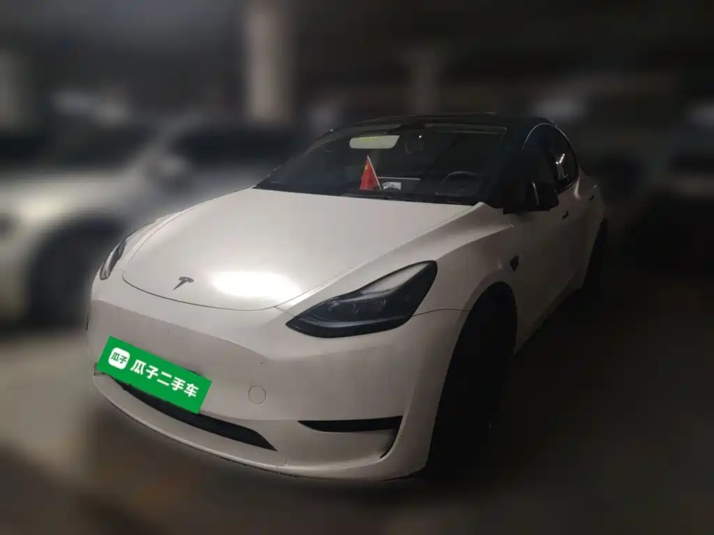 Tesla Model Y — миниатюра 2