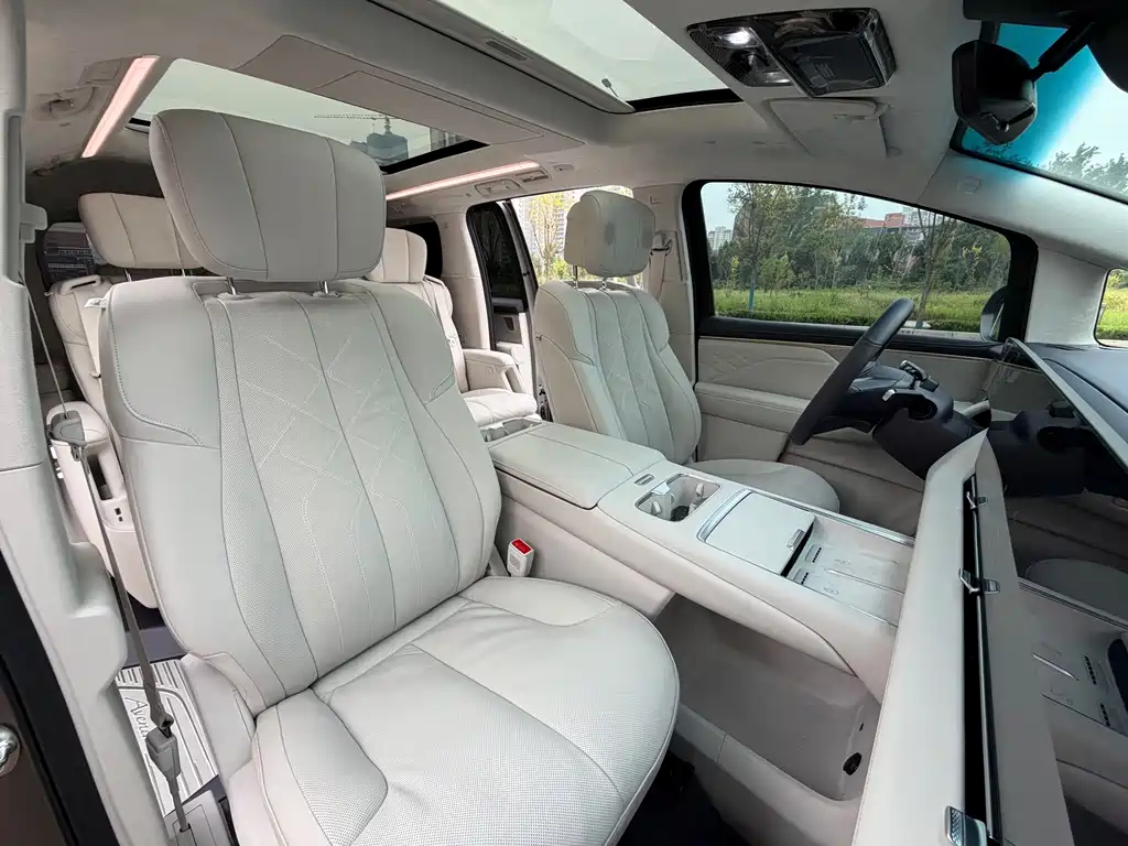 Buick Electra Encasa — миниатюра 12