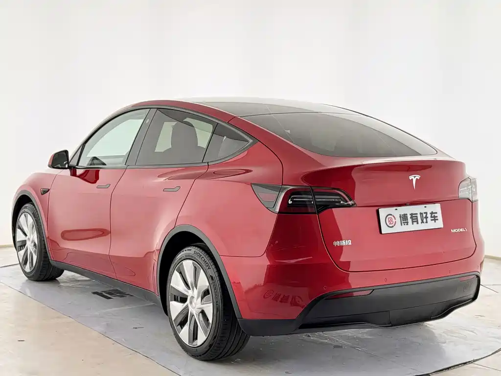 Tesla Model Y — миниатюра 15