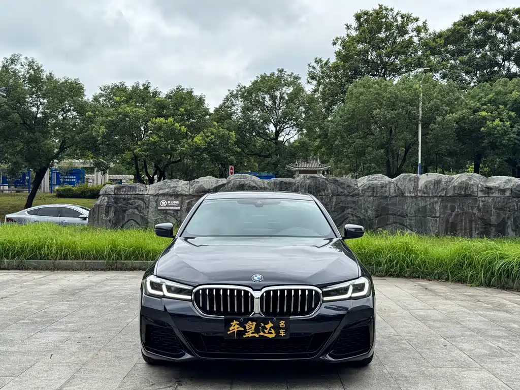 BMW 5 Series (Import) — миниатюра 2