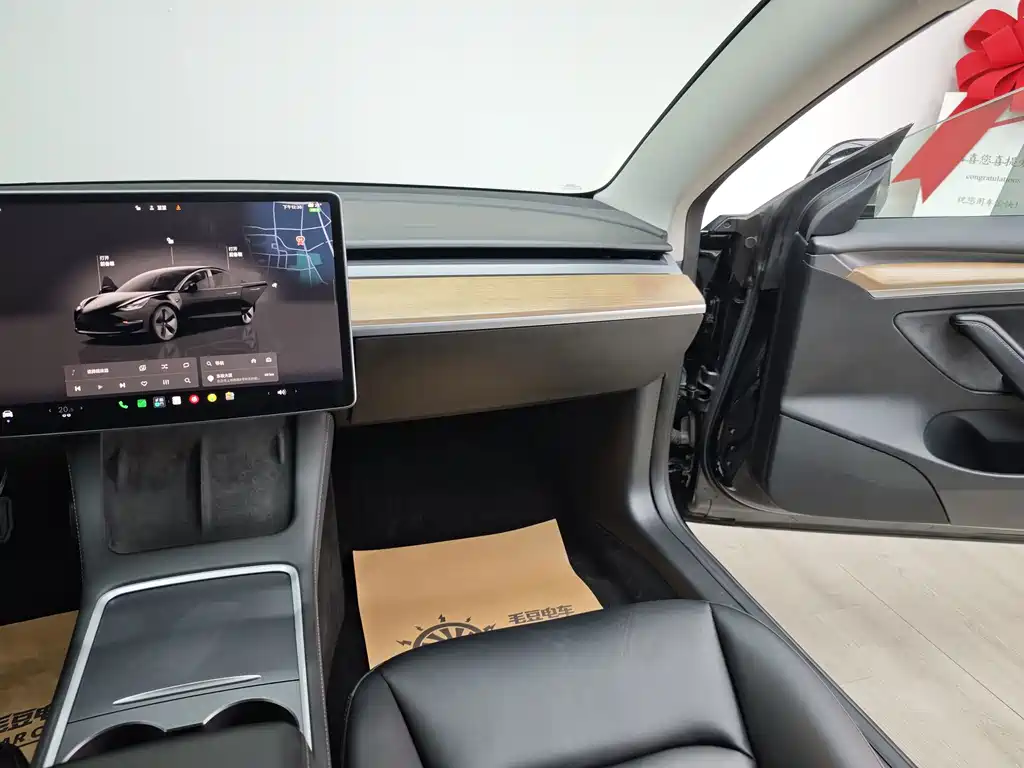 Tesla Model 3 — миниатюра 16