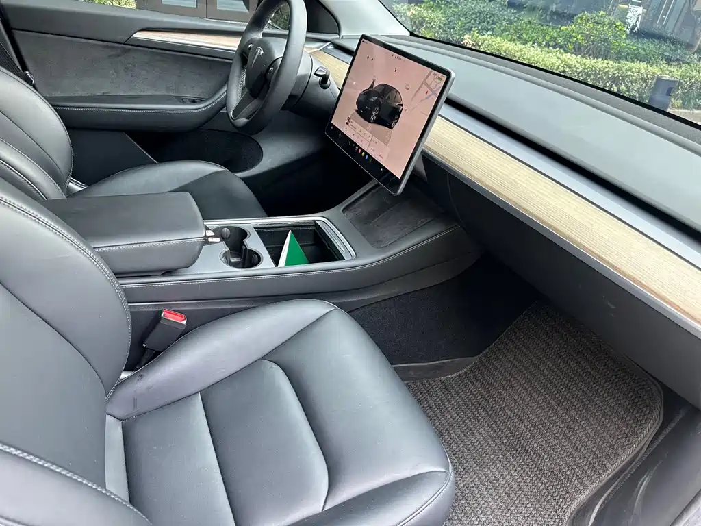 Tesla Model Y — миниатюра 7