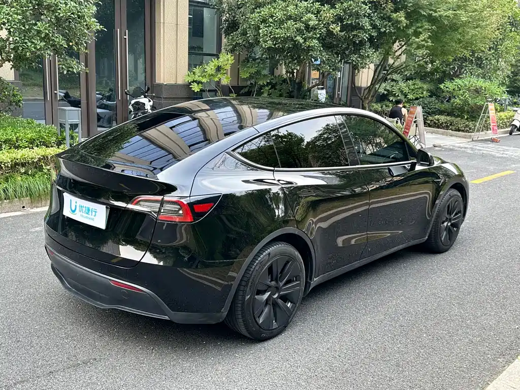 Tesla Model Y — миниатюра 4