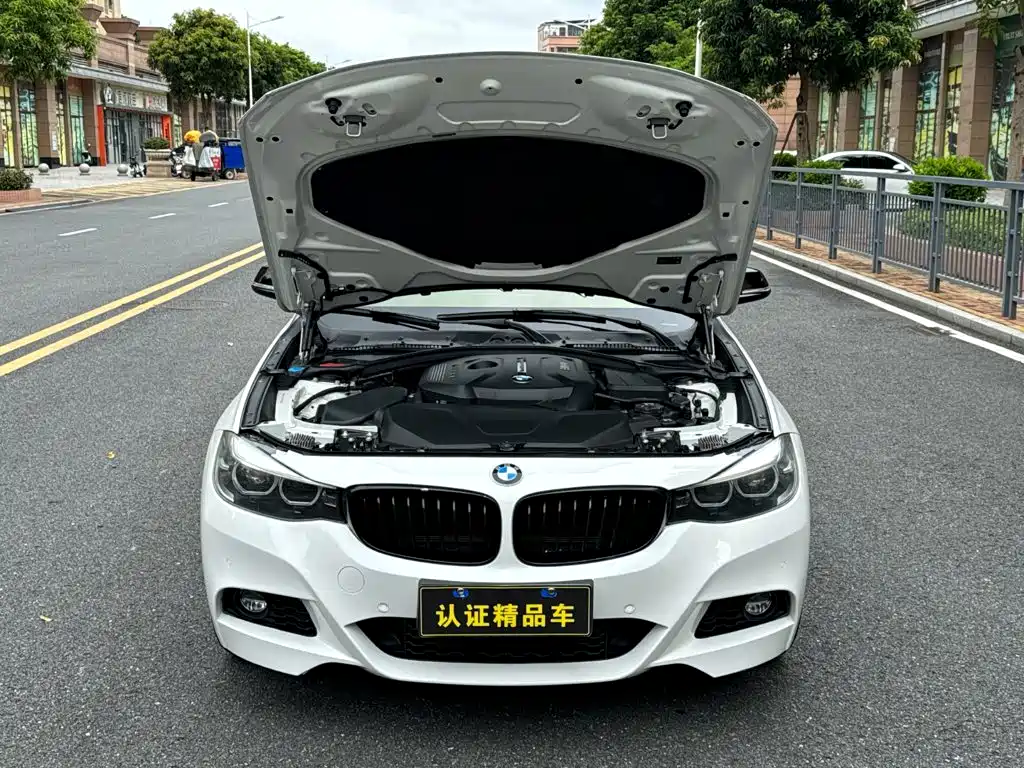 BMW 3 Series GT — миниатюра 5