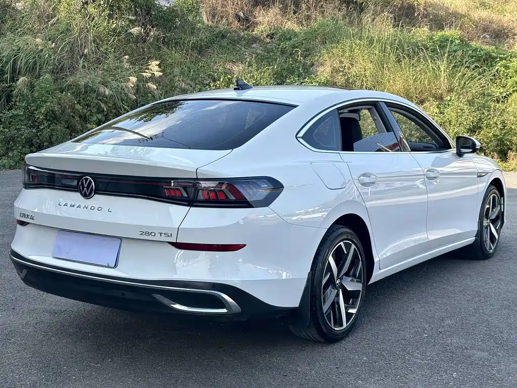 Volkswagen Lamando — миниатюра 9