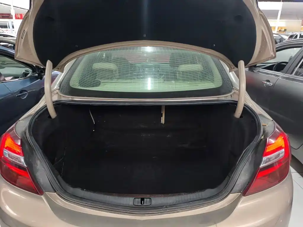 Buick Regal — миниатюра 19