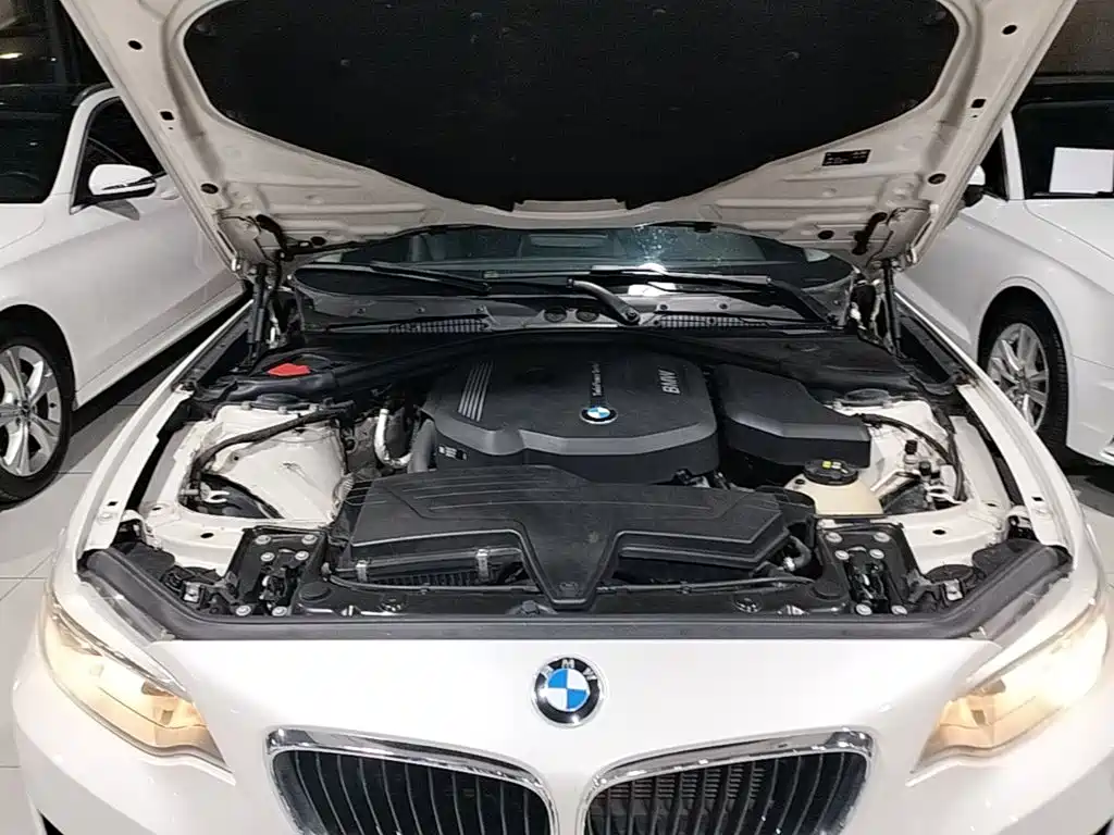 BMW 2 Series (Import) — миниатюра 20