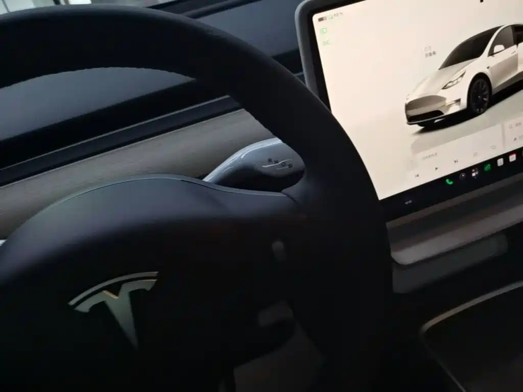 Tesla Model Y — миниатюра 14